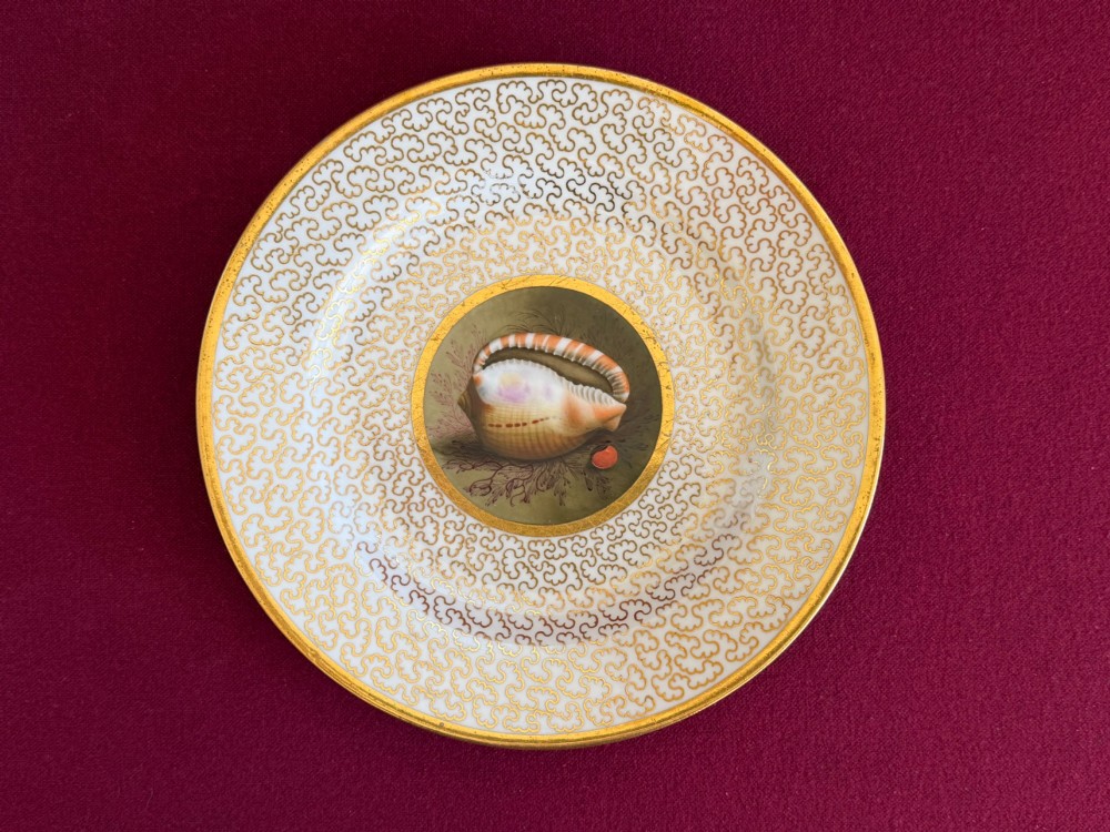 A pair of circular antique Regency Worcester porcelain plates featuring hand-painted seashell central vignettes surrounded by detailed gold vermicelli gilding. View II