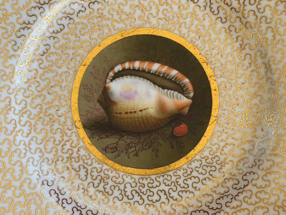 A pair of circular antique Regency Worcester porcelain plates featuring hand-painted seashell central vignettes surrounded by detailed gold vermicelli gilding. View III