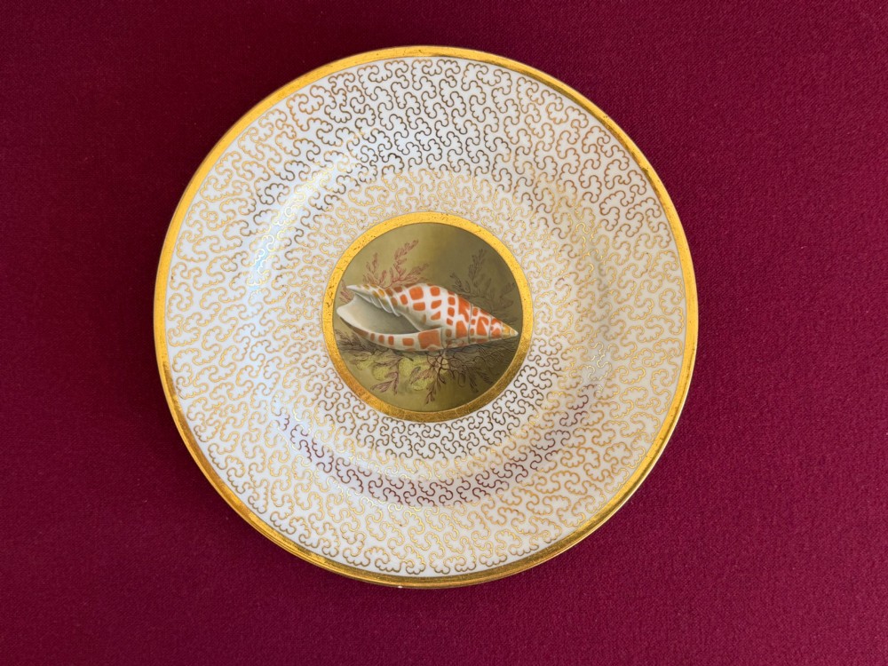 A pair of circular antique Regency Worcester porcelain plates featuring hand-painted seashell central vignettes surrounded by detailed gold vermicelli gilding. View IV