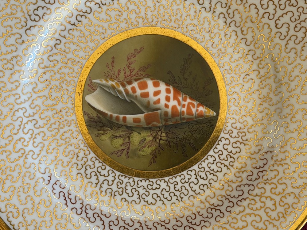 A pair of circular antique Regency Worcester porcelain plates featuring hand-painted seashell central vignettes surrounded by detailed gold vermicelli gilding. View V