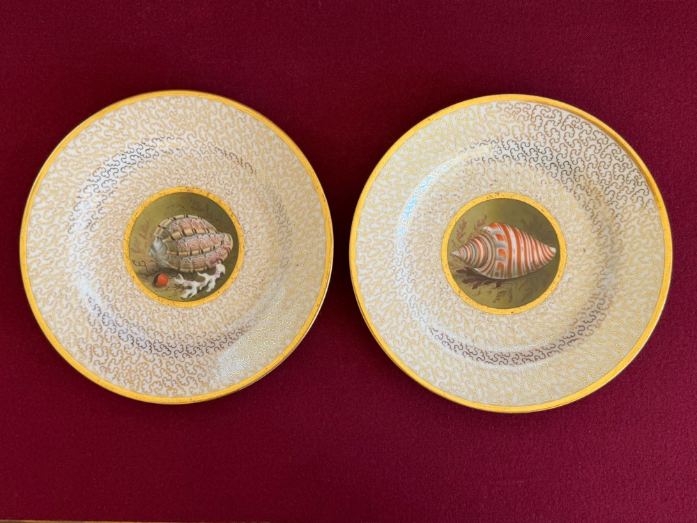 A pair of circular Regency porcelain plates featuring central hand-painted shell reserves encircled by intricate gilt vermicelli borders.
