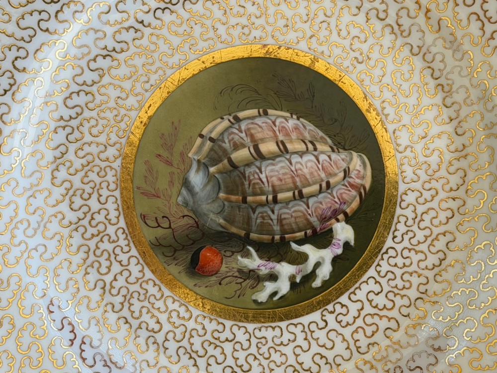 A pair of circular Regency porcelain plates featuring central hand-painted shell reserves encircled by intricate gilt vermicelli borders. View III