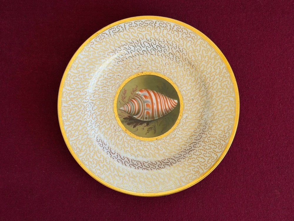 A pair of circular Regency porcelain plates featuring central hand-painted shell reserves encircled by intricate gilt vermicelli borders. View IV