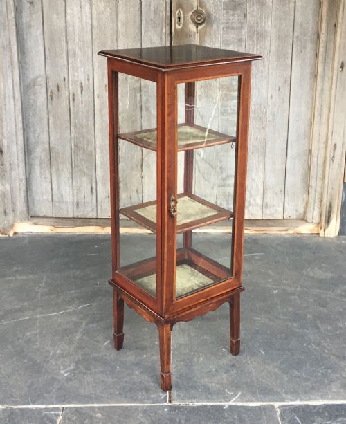 fig 1. An Edwardian mahogany pedestal display cabinet with glass sides, a single glazed door, two glass shelves, and square tapered legs.