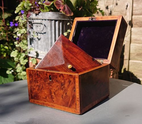 BURR YEW TEA CADDY - ADDITIONAL PHOTO 2