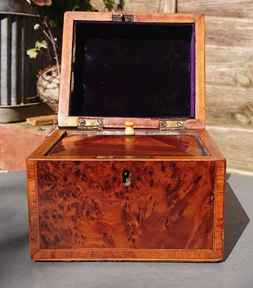 BURR YEW TEA CADDY - ADDITIONAL PHOTO 3