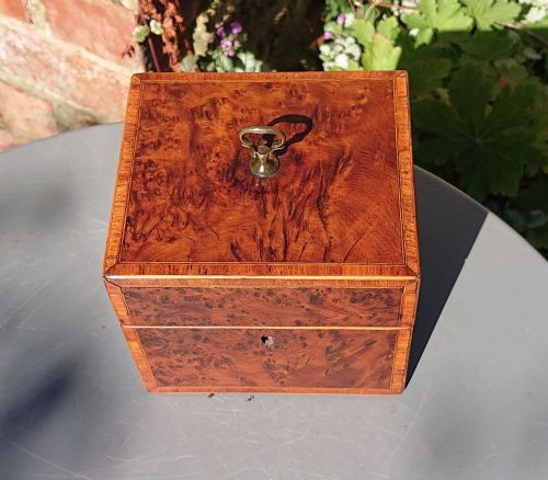 BURR YEW TEA CADDY - ADDITIONAL PHOTO 4