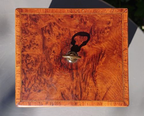 BURR YEW TEA CADDY - ADDITIONAL PHOTO 9