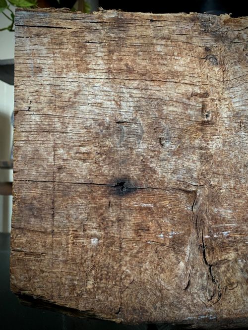 fig 4. A thick section of hand-hewn solid oak timber displaying natural wood grain, fissures, and surface burn markings.