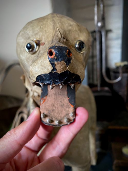 fig 1. An early twentieth-century folk art dog head sculpture constructed from aged parchment leather with glass eyes and a movable mouth revealing painted teeth.