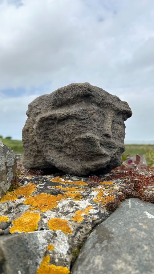 fig 1. A hand-carved medieval grey stone corbel featuring a stylised human face with a gripping mouth detail.