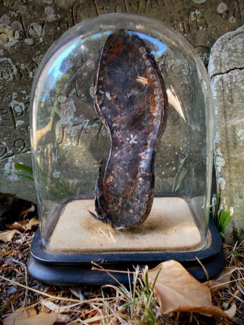 A Curious Antique 19th Century Child’s Shipwreck Shoe in Period Glass Display Dome