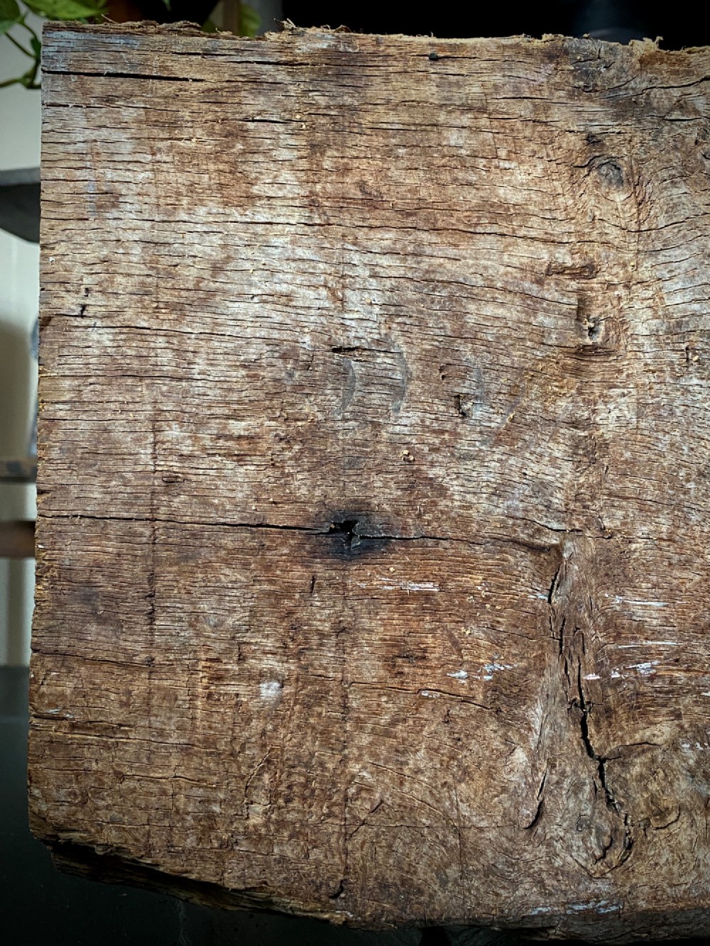 A thick section of hand-hewn solid oak timber displaying natural wood grain, fissures, and surface burn markings. View V