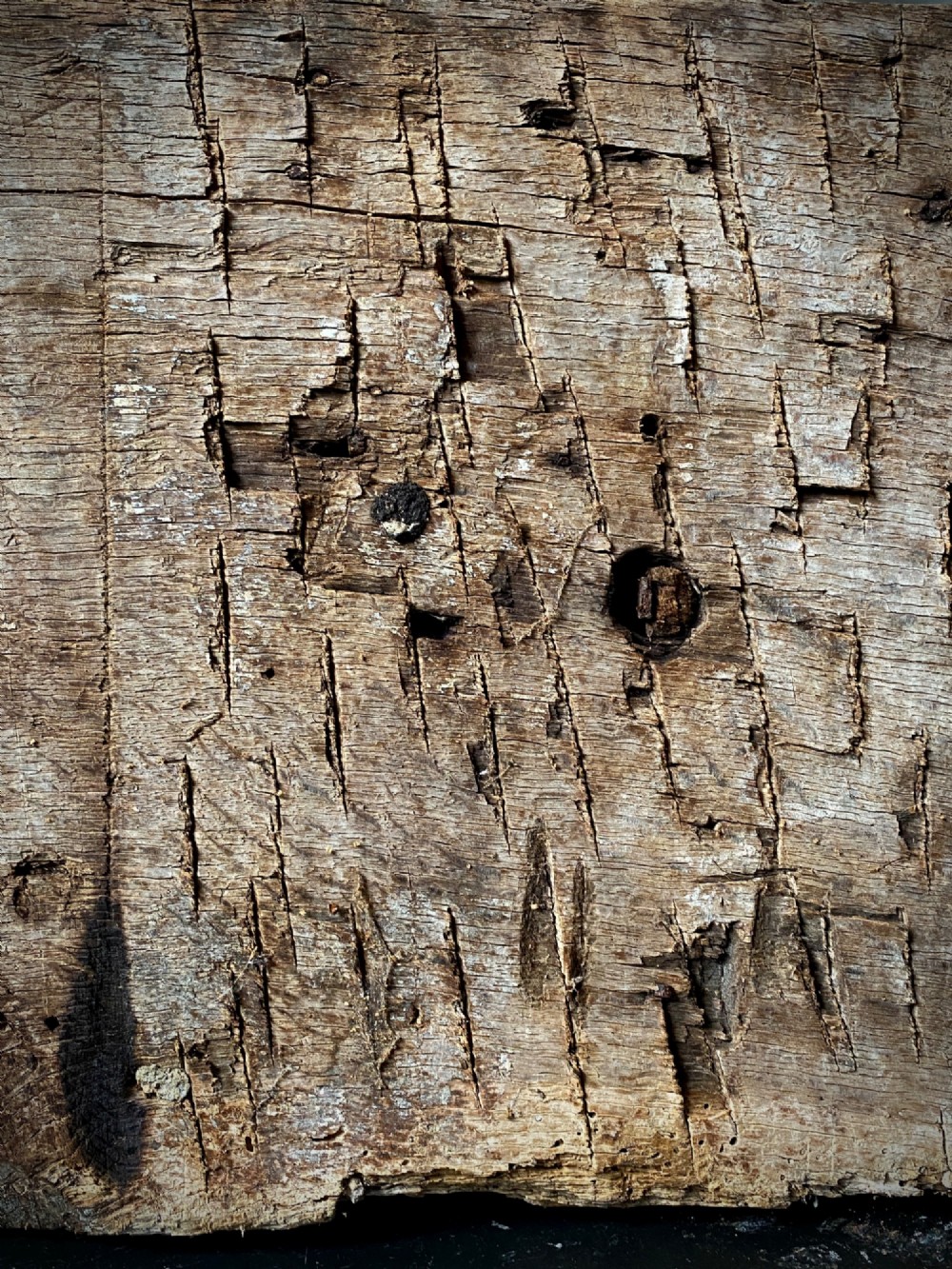 A thick section of hand-hewn solid oak timber displaying natural wood grain, fissures, and surface burn markings. View VI