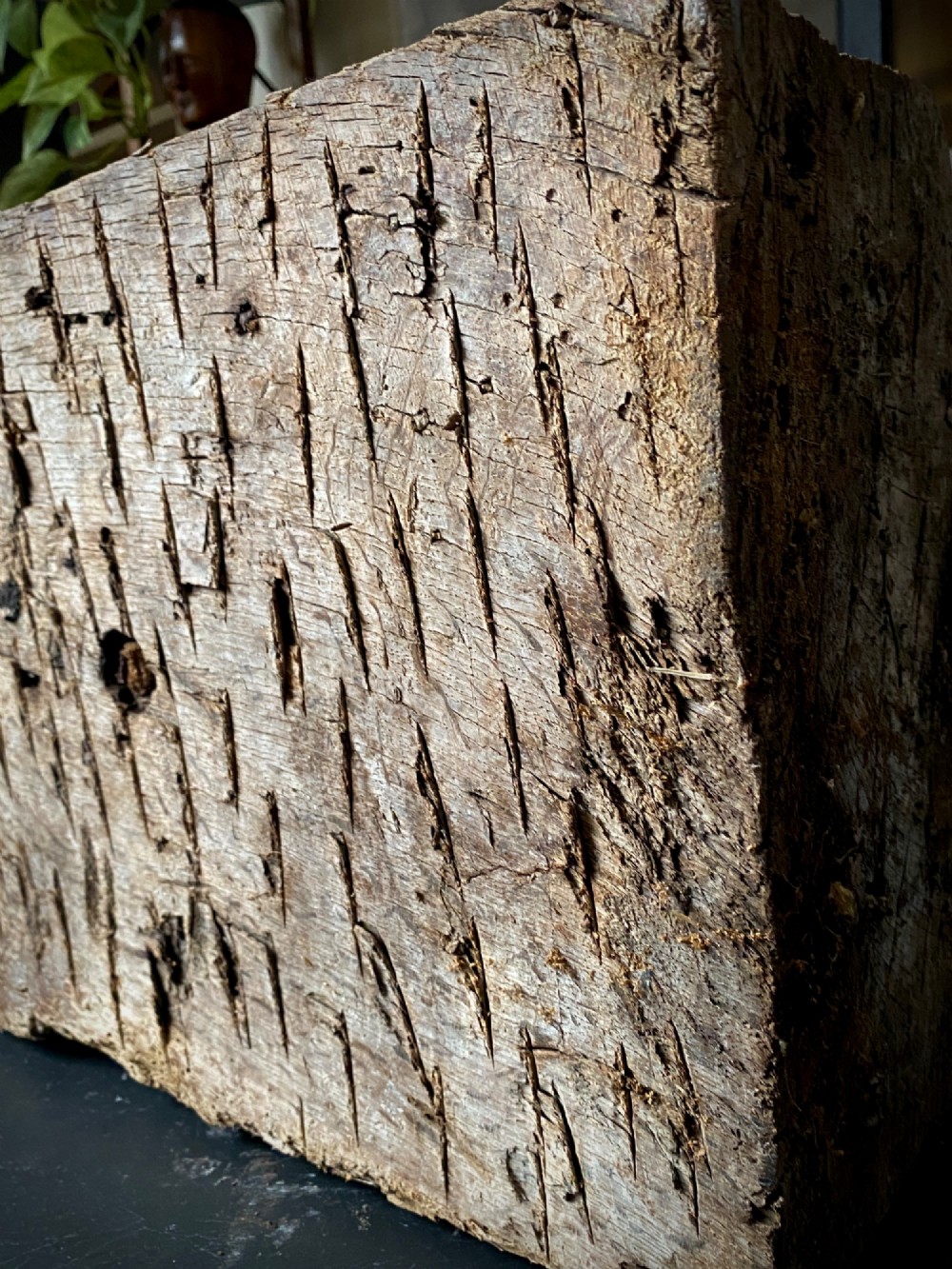 A thick section of hand-hewn solid oak timber displaying natural wood grain, fissures, and surface burn markings. View IX