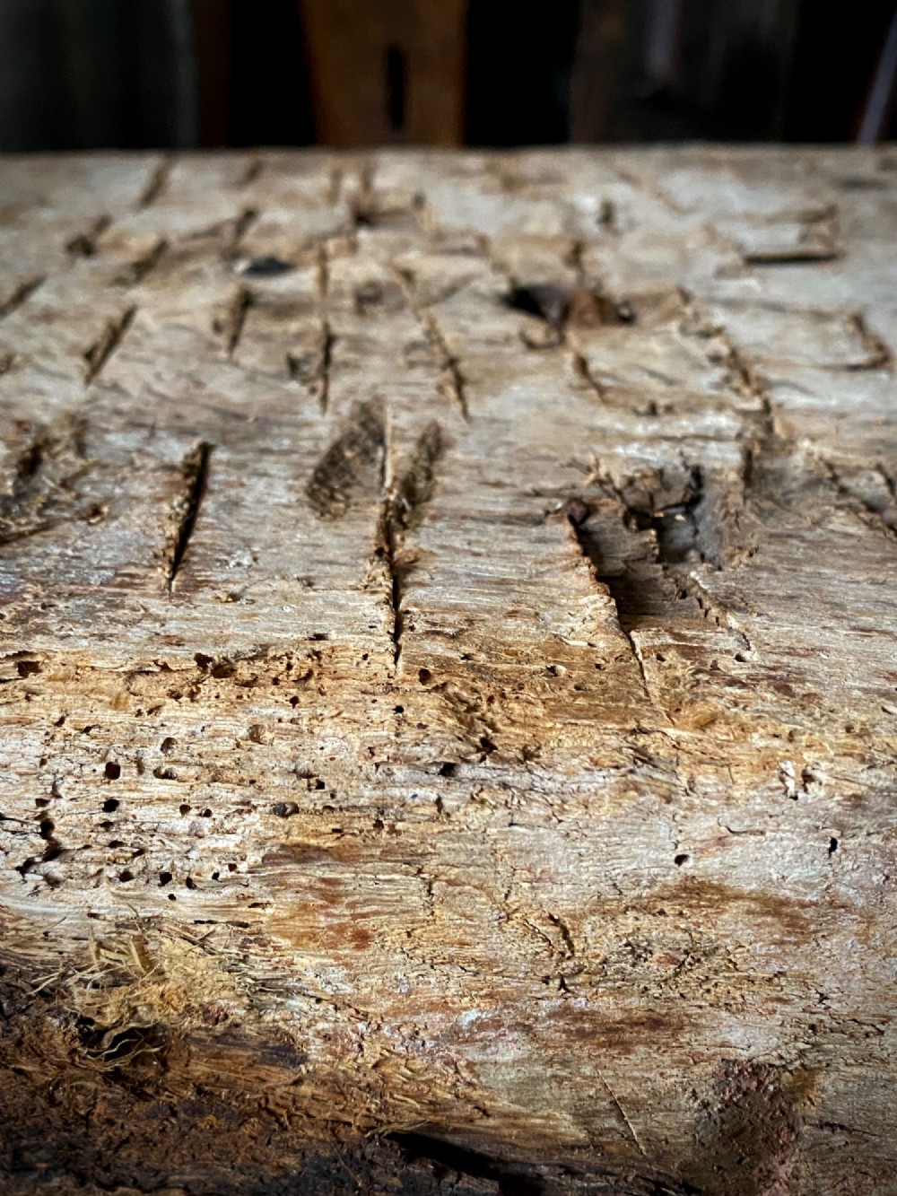 A thick section of hand-hewn solid oak timber displaying natural wood grain, fissures, and surface burn markings. View X