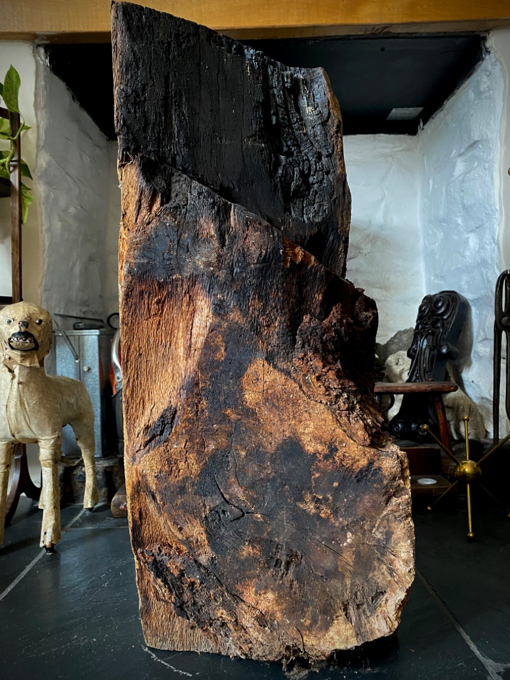 A thick section of hand-hewn solid oak timber displaying natural wood grain, fissures, and surface burn markings. View XII