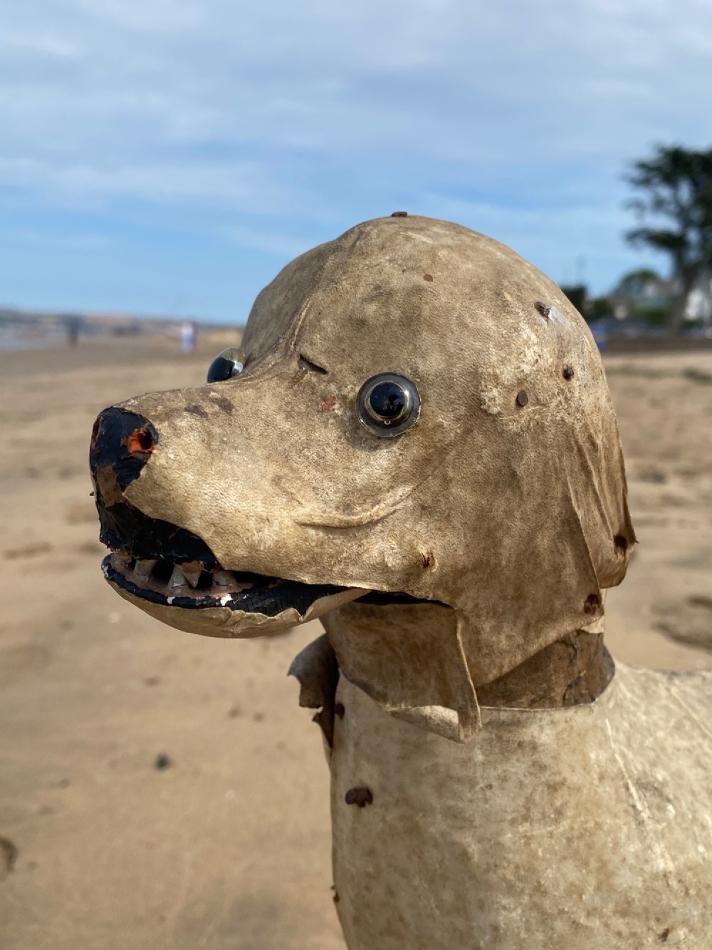 An early twentieth-century folk art dog head sculpture constructed from aged parchment leather with glass eyes and a movable mouth revealing painted teeth. View IV