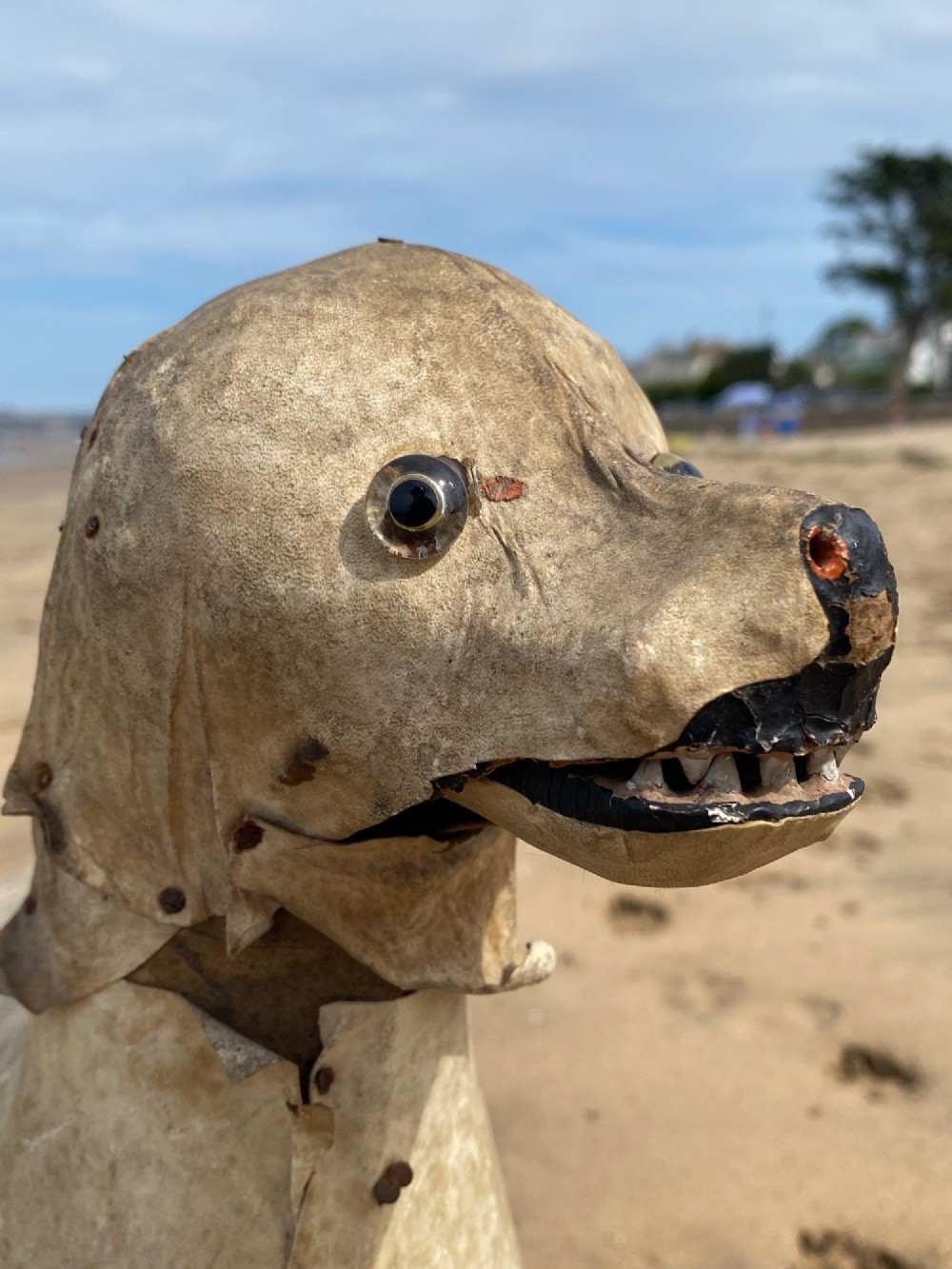An early twentieth-century folk art dog head sculpture constructed from aged parchment leather with glass eyes and a movable mouth revealing painted teeth. View V