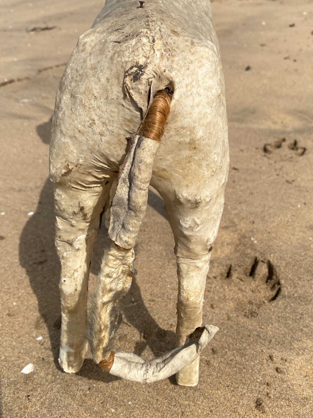 An early twentieth-century folk art dog head sculpture constructed from aged parchment leather with glass eyes and a movable mouth revealing painted teeth. View VI
