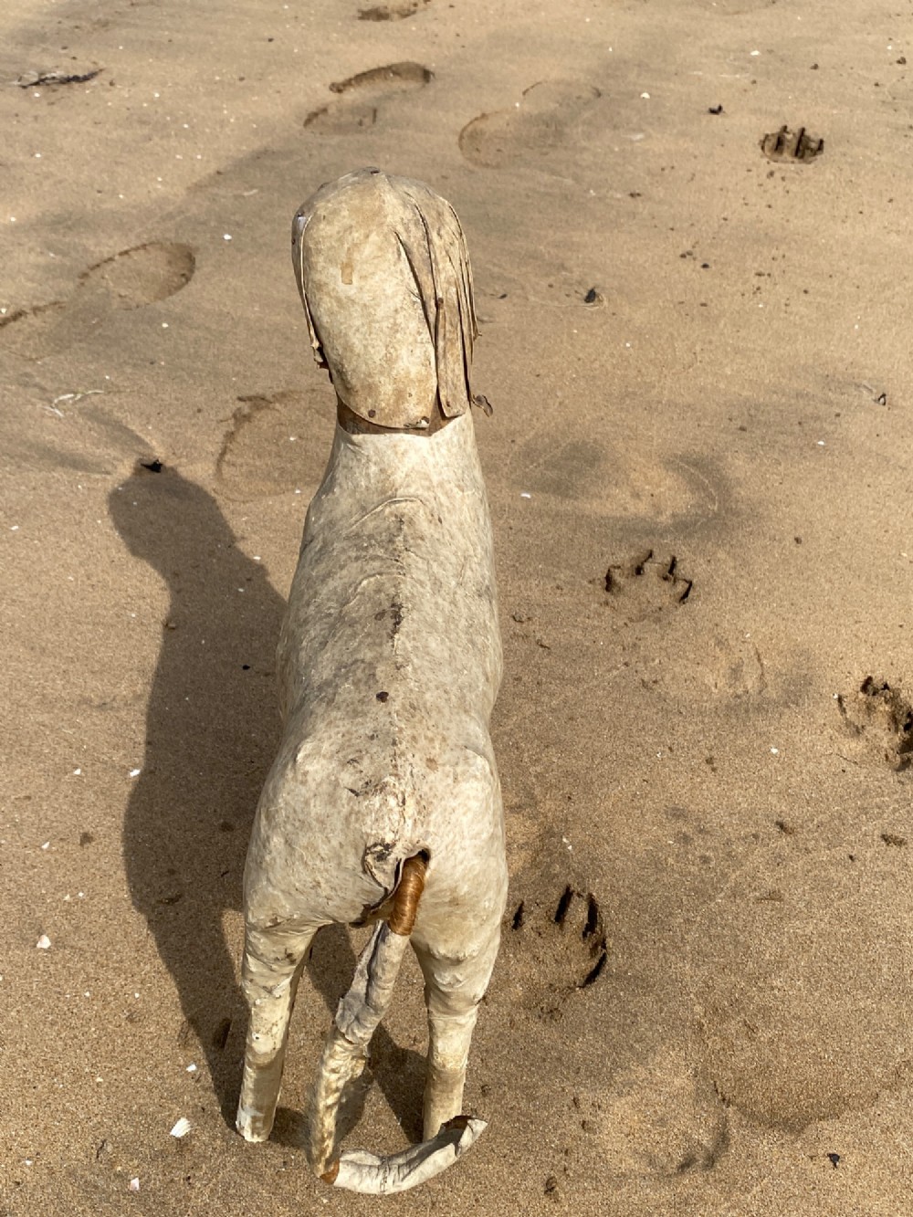 An early twentieth-century folk art dog head sculpture constructed from aged parchment leather with glass eyes and a movable mouth revealing painted teeth. View VIII