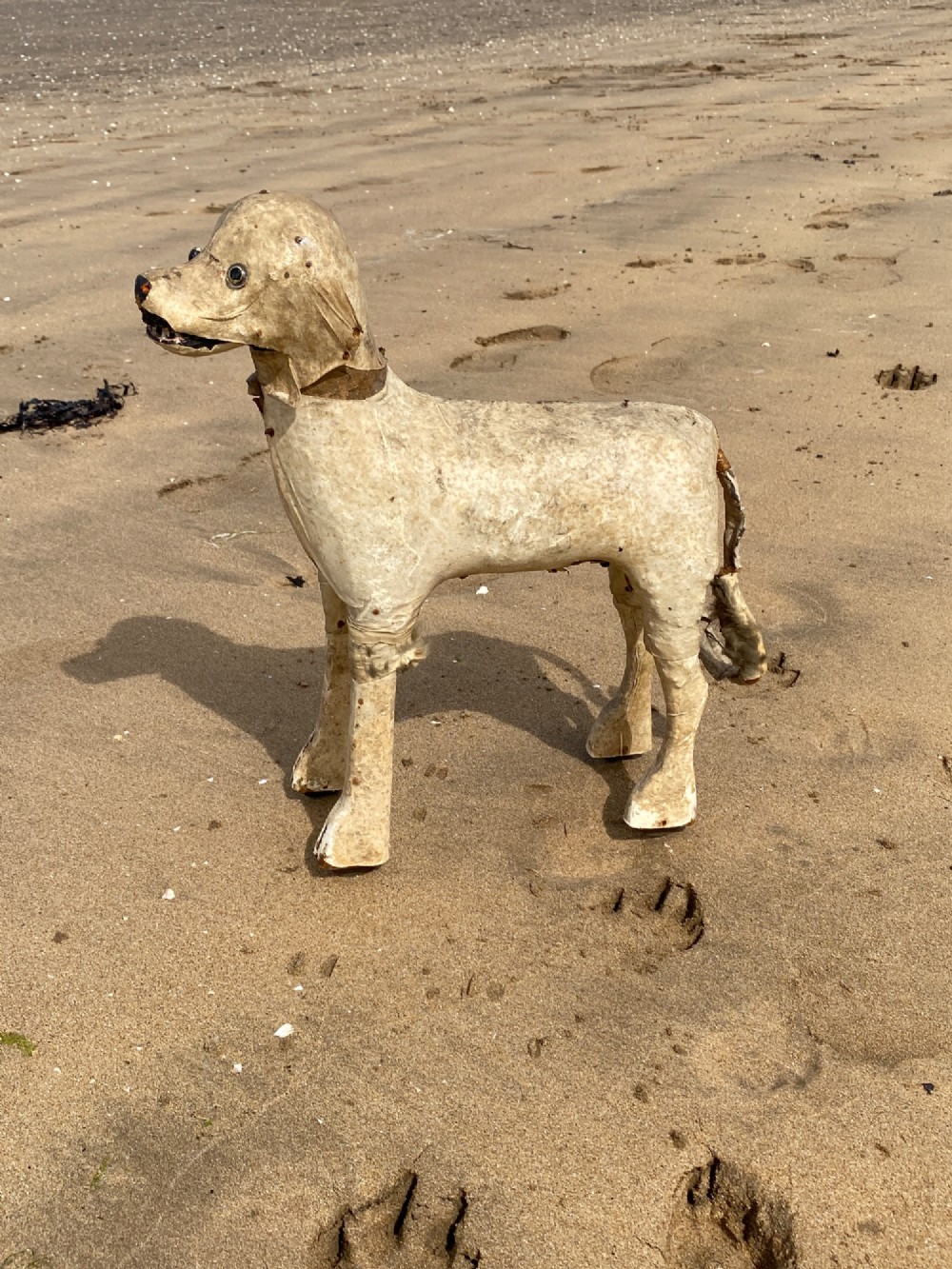 An early twentieth-century folk art dog head sculpture constructed from aged parchment leather with glass eyes and a movable mouth revealing painted teeth. View X