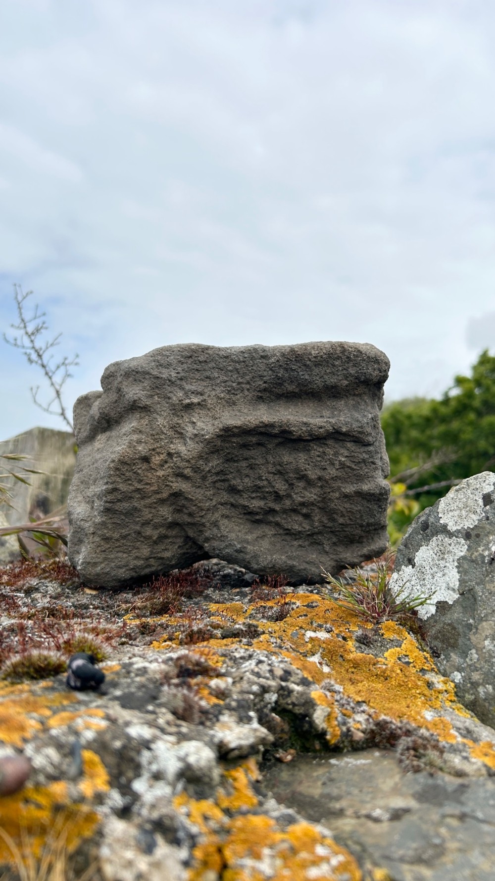 A hand-carved medieval grey stone corbel featuring a stylised human face with a gripping mouth detail. View III