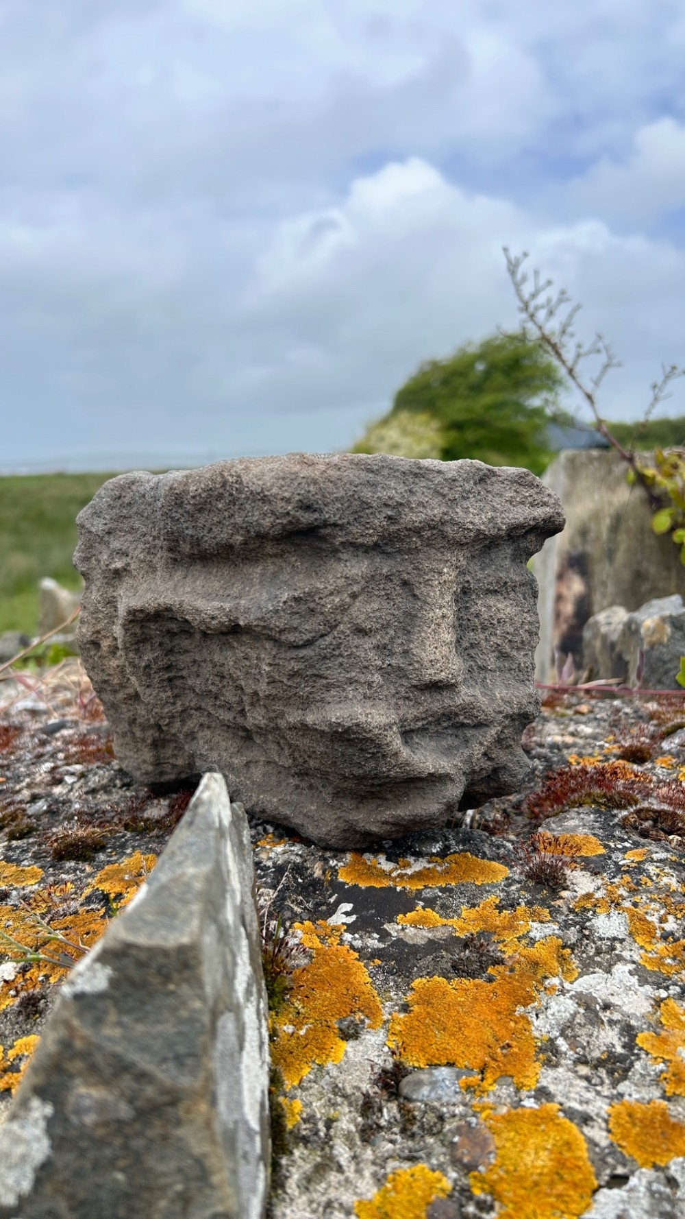 A hand-carved medieval grey stone corbel featuring a stylised human face with a gripping mouth detail. View VI