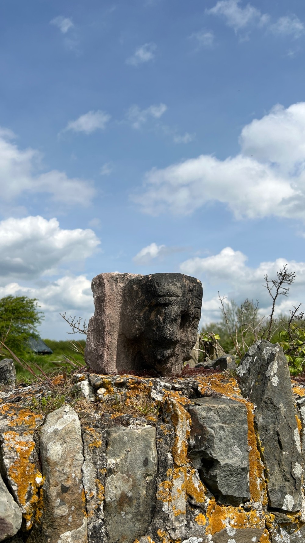 A weathered 17th-century carved stone head fragment with defined facial features and visible surface erosion. View IX