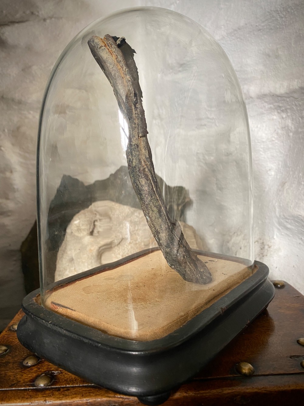 A weathered nineteenth-century leather childs shoe sole mounted upright inside a glass display dome with an ebonised wooden base. View IV