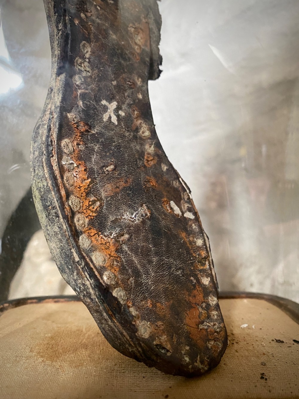 A weathered nineteenth-century leather childs shoe sole mounted upright inside a glass display dome with an ebonised wooden base. View V