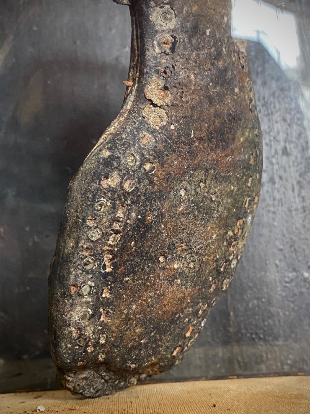 A weathered nineteenth-century leather childs shoe sole mounted upright inside a glass display dome with an ebonised wooden base. View VI