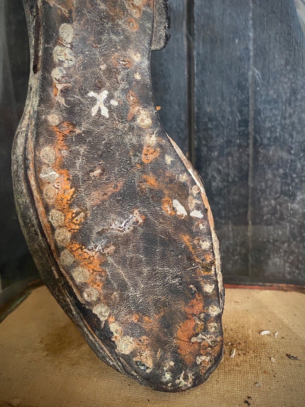 A weathered nineteenth-century leather childs shoe sole mounted upright inside a glass display dome with an ebonised wooden base. View VII