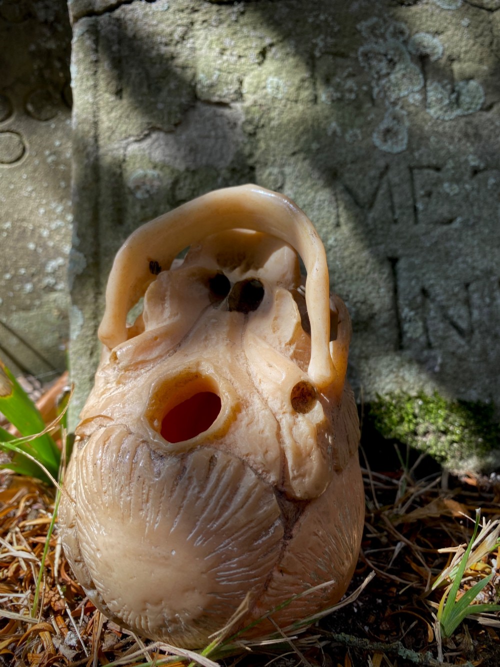 An early twentieth-century anatomical model of a foetal skull rendered in light beige composition material with visible cranial sutures. View IX