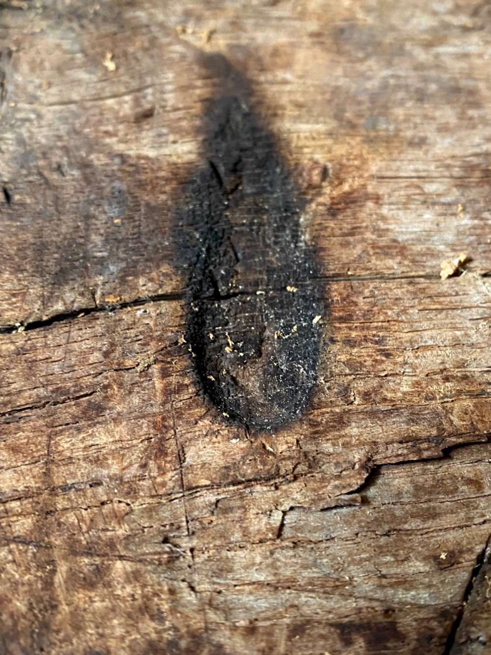 A tall, hand-hewn 17th-century solid oak beam featuring multiple dark apotropaic taper burn marks along its weathered wood surface. View III