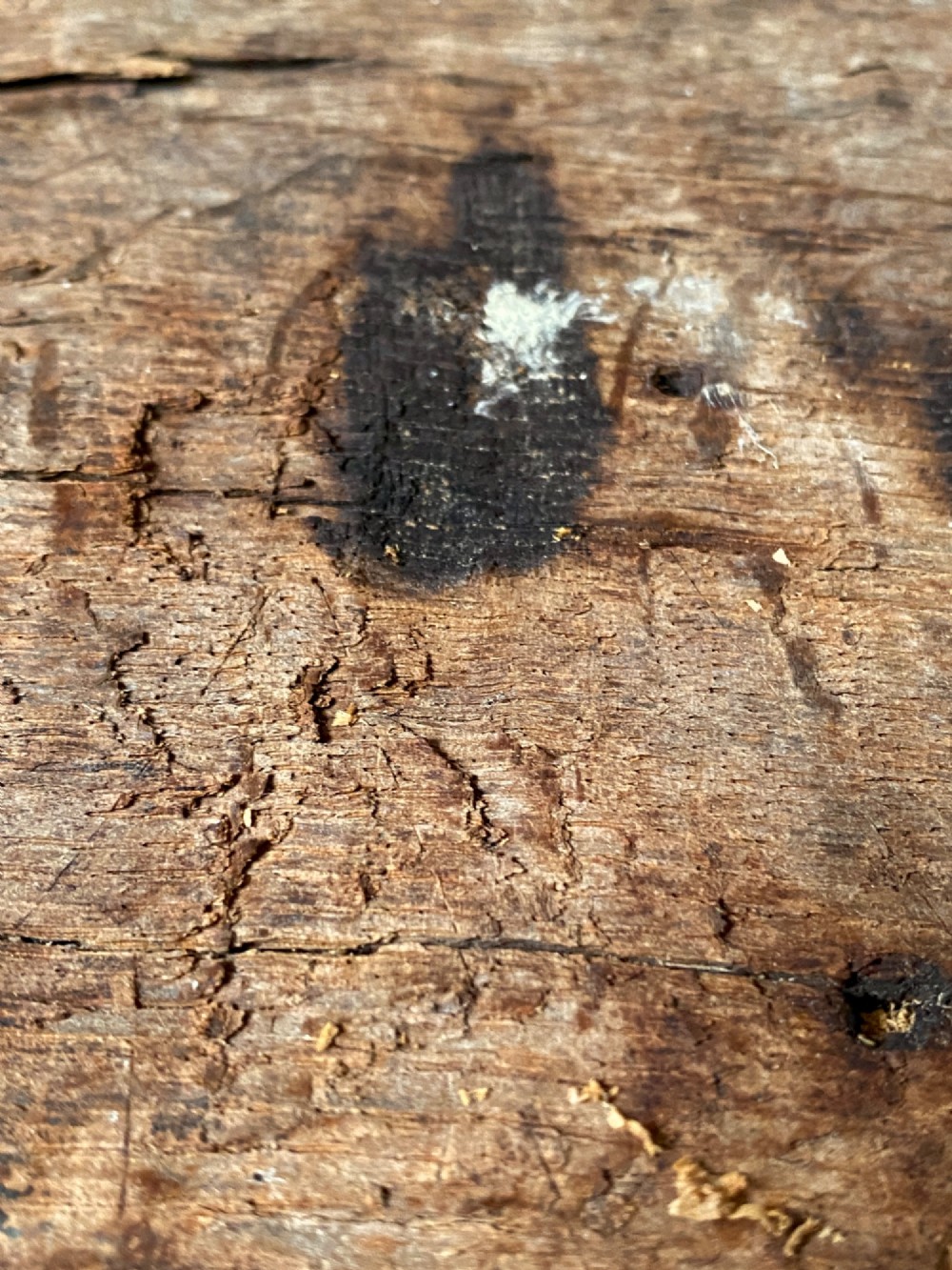 A tall, hand-hewn 17th-century solid oak beam featuring multiple dark apotropaic taper burn marks along its weathered wood surface. View XII
