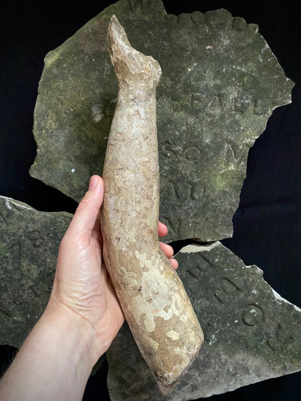 A weathered 16th to 17th century carved wooden arm fragment displaying remnants of polychrome paint and visible hand-carved details. View II