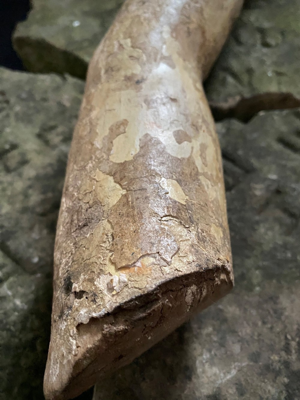 A weathered 16th to 17th century carved wooden arm fragment displaying remnants of polychrome paint and visible hand-carved details. View III