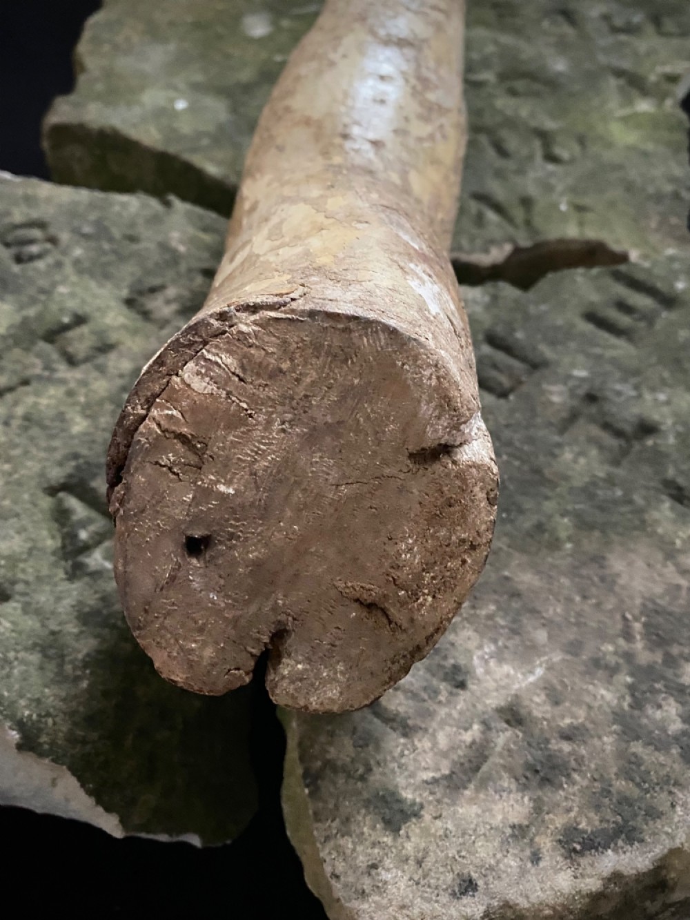 A weathered 16th to 17th century carved wooden arm fragment displaying remnants of polychrome paint and visible hand-carved details. View VII