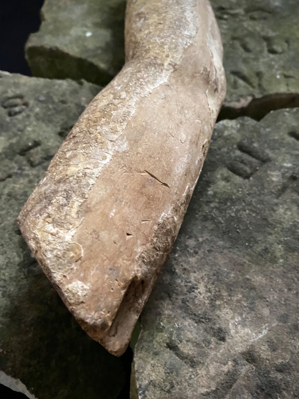 A weathered 16th to 17th century carved wooden arm fragment displaying remnants of polychrome paint and visible hand-carved details. View VIII