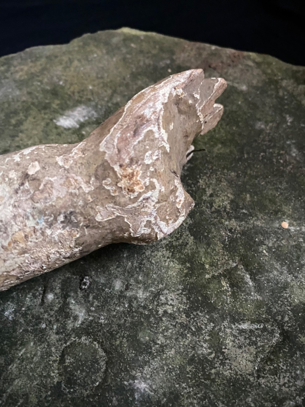 A weathered 16th to 17th century carved wooden arm fragment displaying remnants of polychrome paint and visible hand-carved details. View IX