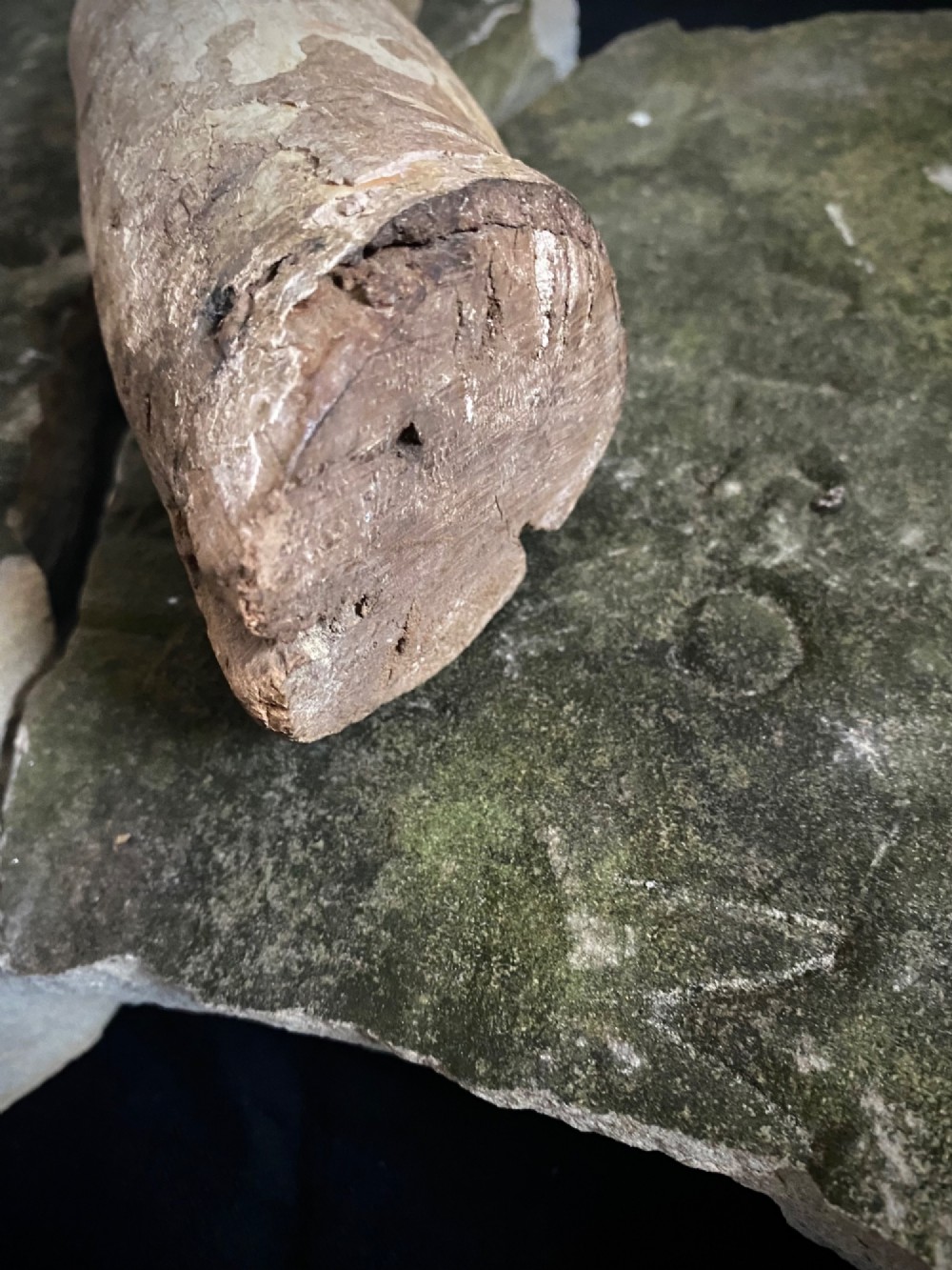 A weathered 16th to 17th century carved wooden arm fragment displaying remnants of polychrome paint and visible hand-carved details. View XI
