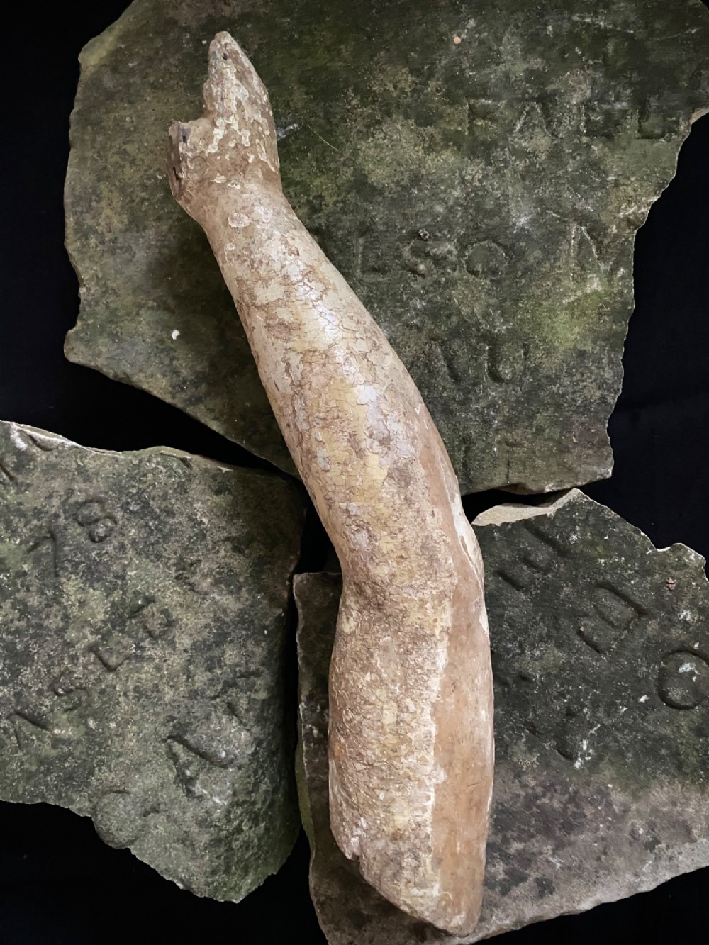 A weathered 16th to 17th century carved wooden arm fragment displaying remnants of polychrome paint and visible hand-carved details. View XII