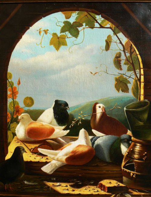 Pigeons in a Window - Oil Painting - Dutch School