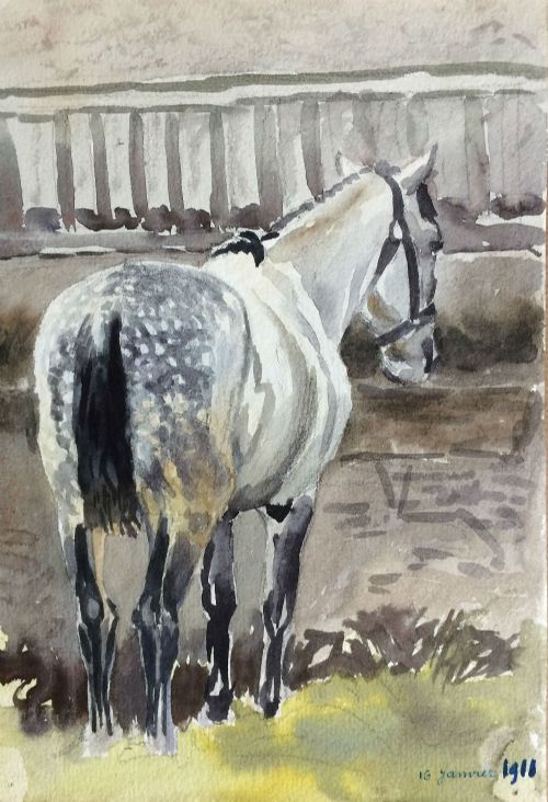 Set of Eight Watercolours of Horses
