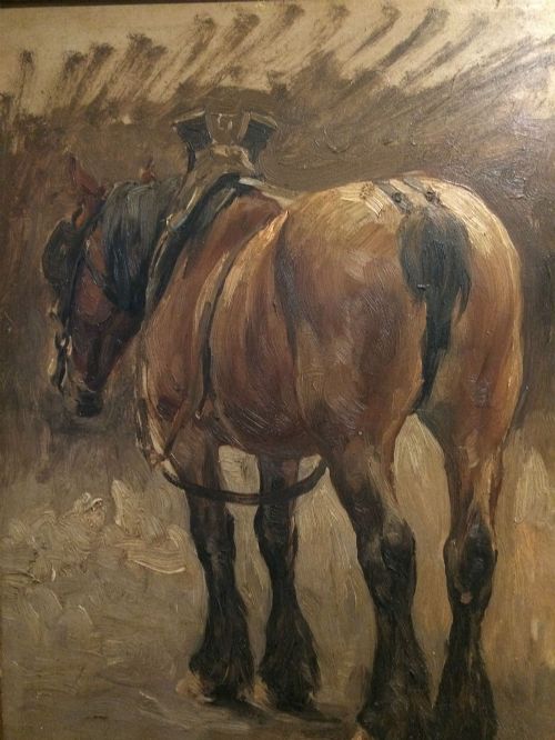 Working Horse in Harness - Oil Painting