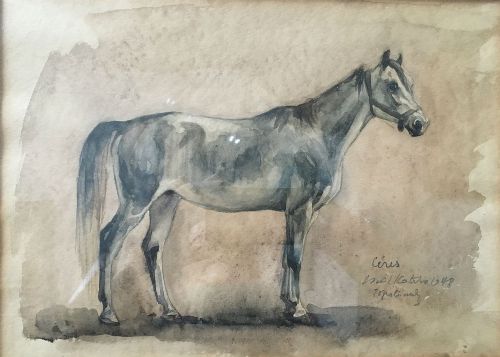 Grey Horse - Antique Watercolour