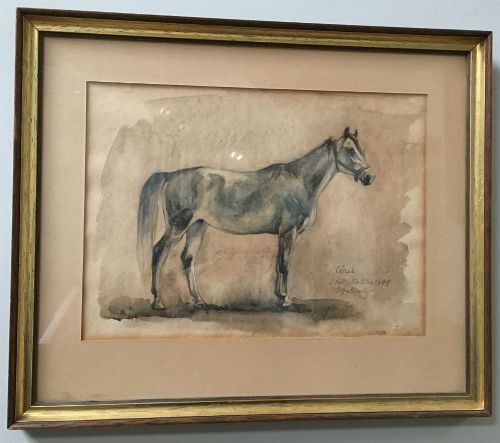 fig 1. Grey Horse - Antique Watercolour