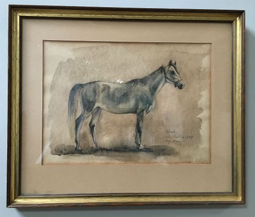 fig 2. Grey Horse - Antique Watercolour
