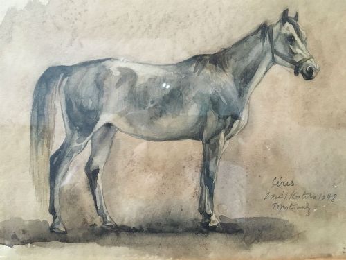 fig 3. Grey Horse - Antique Watercolour